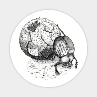 "Dung Beetle" Magnet